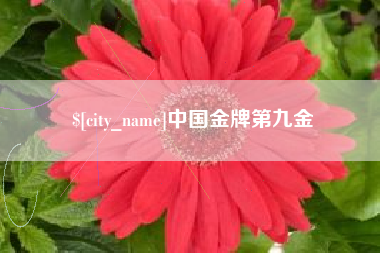 桂林中国金牌第九金