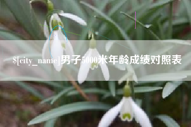 桂林男子5000米年龄成绩对照表