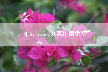 桂林九宫排盘免费