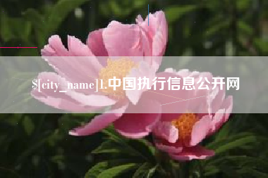 桂林1.中国执行信息公开网