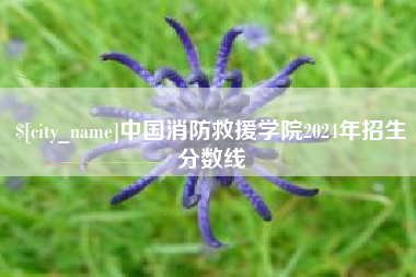 桂林中国消防救援学院2024年招生分数线