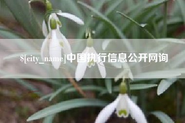桂林中国执行信息公开网询