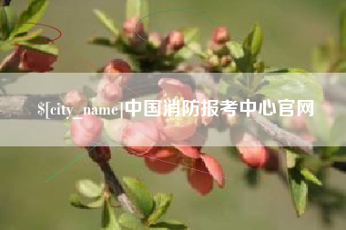 桂林中国消防报考中心官网