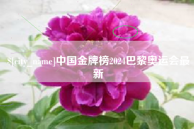 桂林中国金牌榜2024巴黎奥运会最新