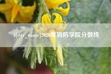 桂林2020年消防学院分数线