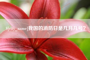 桂林我国的消防日是几月几号？
