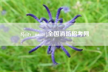 桂林全国消防招考网