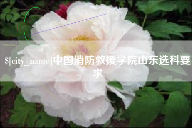 桂林中国消防救援学院山东选科要求