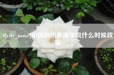 桂林中国消防救援学院什么时候政审