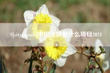 桂林中国金牌是什么项目2024