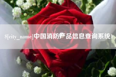 桂林中国消防产品信息查询系统1