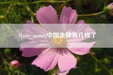 桂林中国金牌有几枚了