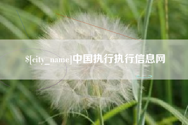 桂林中国执行执行信息网