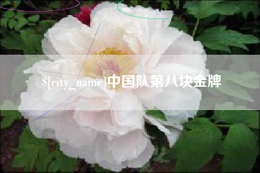 桂林中国队第八块金牌