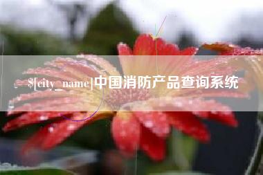 桂林中国消防产品查询系统