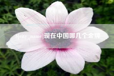 桂林现在中国哪几个金牌