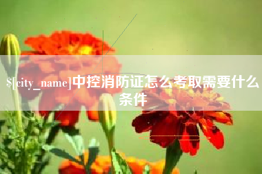 桂林中控消防证怎么考取需要什么条件
