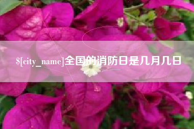 桂林全国的消防日是几月几日