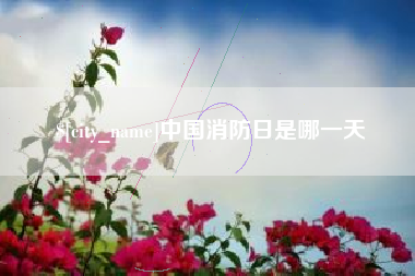 桂林中国消防日是哪一天
