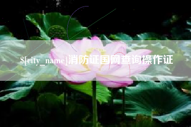 桂林消防证国网查询操作证