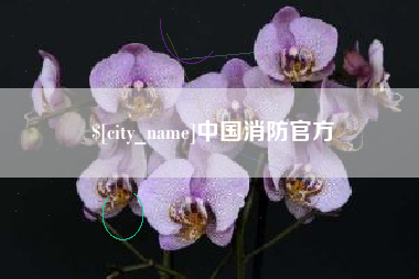 桂林中国消防官方
