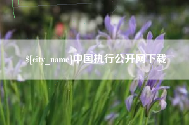桂林中国执行公开网下载