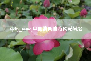 桂林中国消防官方网站域名