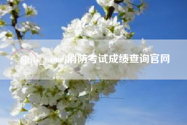 桂林消防考试成绩查询官网