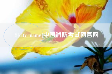 桂林中国消防考试网官网
