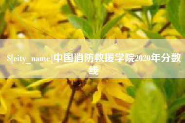 桂林中国消防救援学院2020年分数线