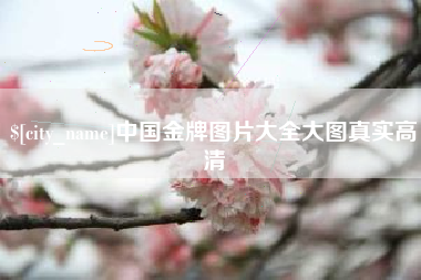 桂林中国金牌图片大全大图真实高清