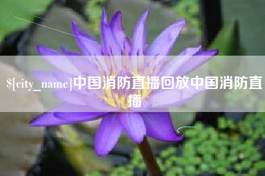 桂林中国消防直播回放中国消防直播