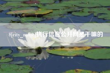 桂林执行信息公开网是干嘛的