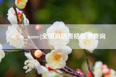 桂林全国消防资格证书查询