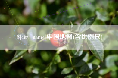 桂林中国地图(含比例尺)