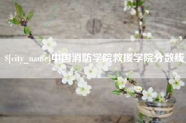 桂林中国消防学院救援学院分数线