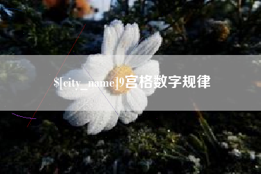 桂林9宫格数字规律