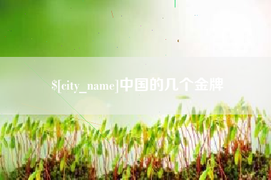 桂林中国的几个金牌