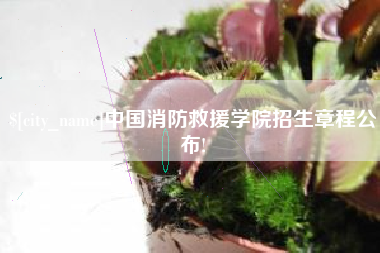 桂林中国消防救援学院招生章程公布!