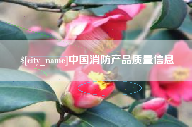 桂林中国消防产品质量信息