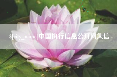 桂林中国执行信息公开网失信