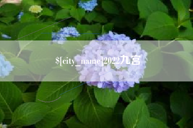 桂林2022九宫