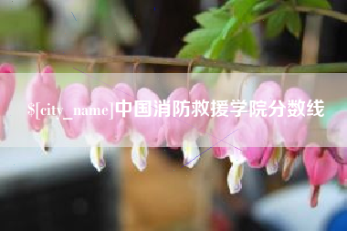 桂林中国消防救援学院分数线