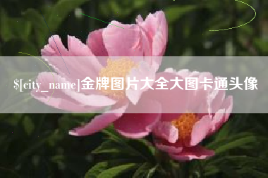 桂林金牌图片大全大图卡通头像