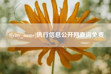 桂林执行信息公开网查询免费