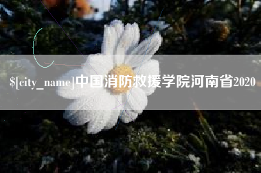 桂林中国消防救援学院河南省2020